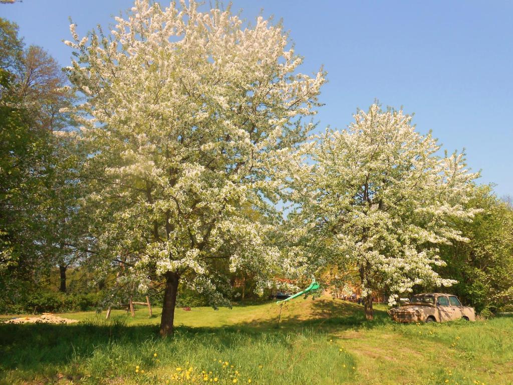 Ferienhof Idyll Am Kleinen Fliess Burg  Ngoại thất bức ảnh